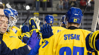 Що потрібно збірній України, щоб вийти в елітний дивізіон чемпіонату світу