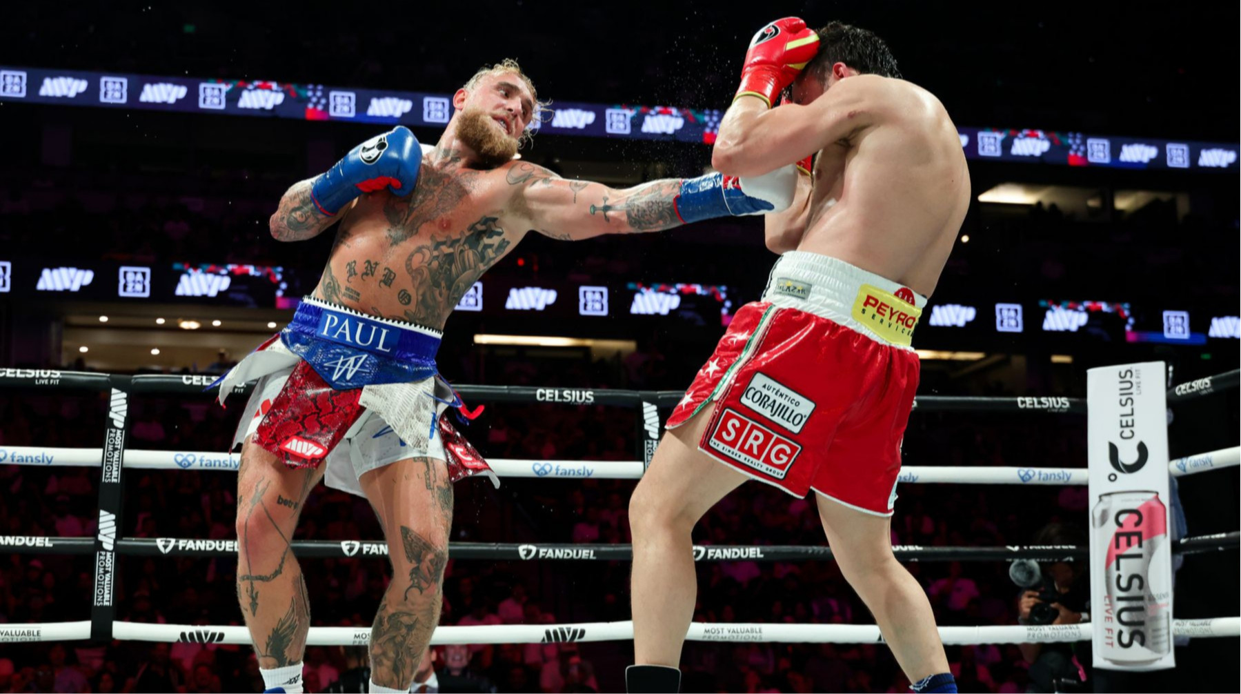 Рой Джонс-младший назвал условие, при котором Пол может стать чемпионом мира