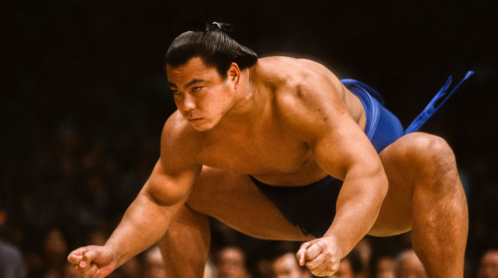 Вовк, з якого треба брати приклад Аонішікі: історія легендарного йокозуни Чіонофуджі