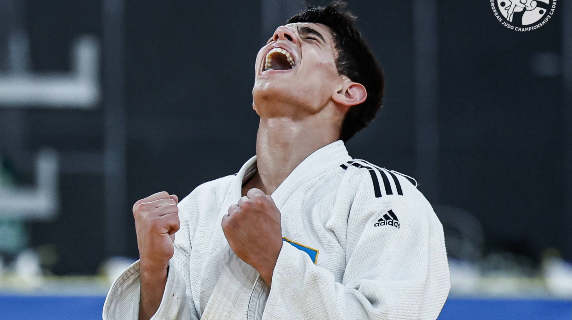 Украинец Гейдаров завоевал золото чемпионата Европы до 18 лет в весовой категории до 60 кг