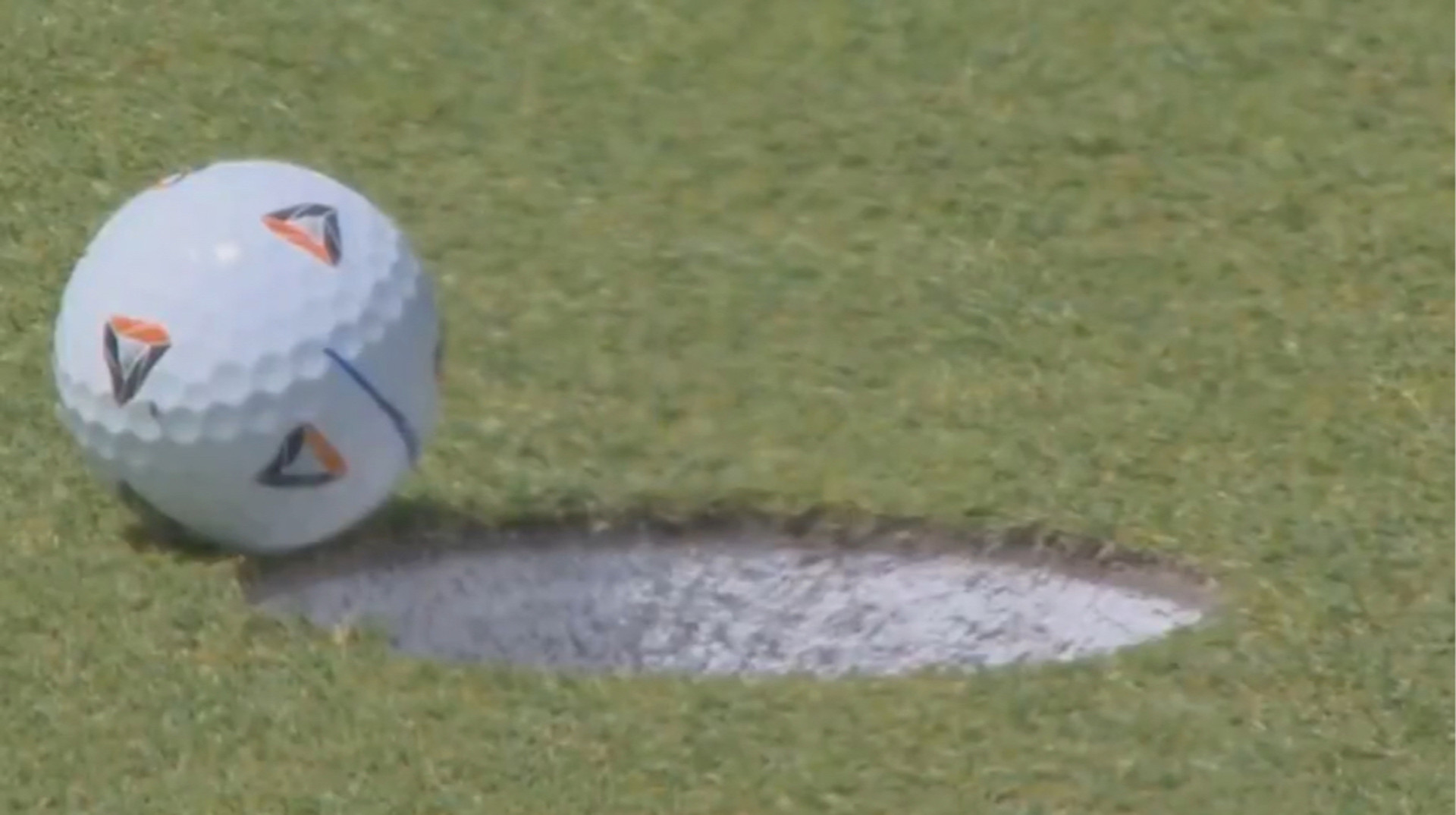 Такого вы еще не видели: муха помогла гольфисту выиграть на турнире почти миллион долларов