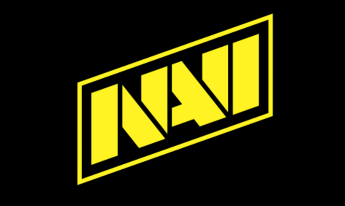 Українська команда NAVI змінила власника