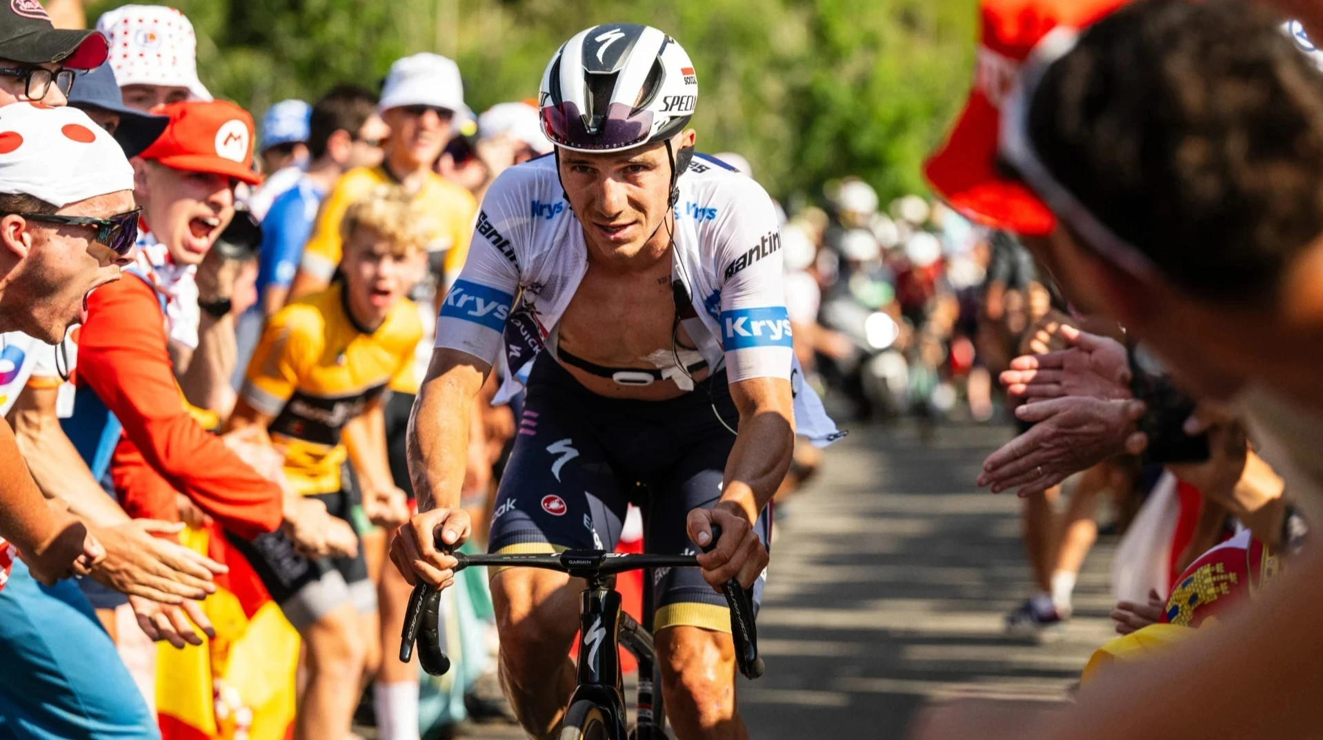 Эвенепул унизил Погачара и стал трехкратным чемпионом мира в разделке