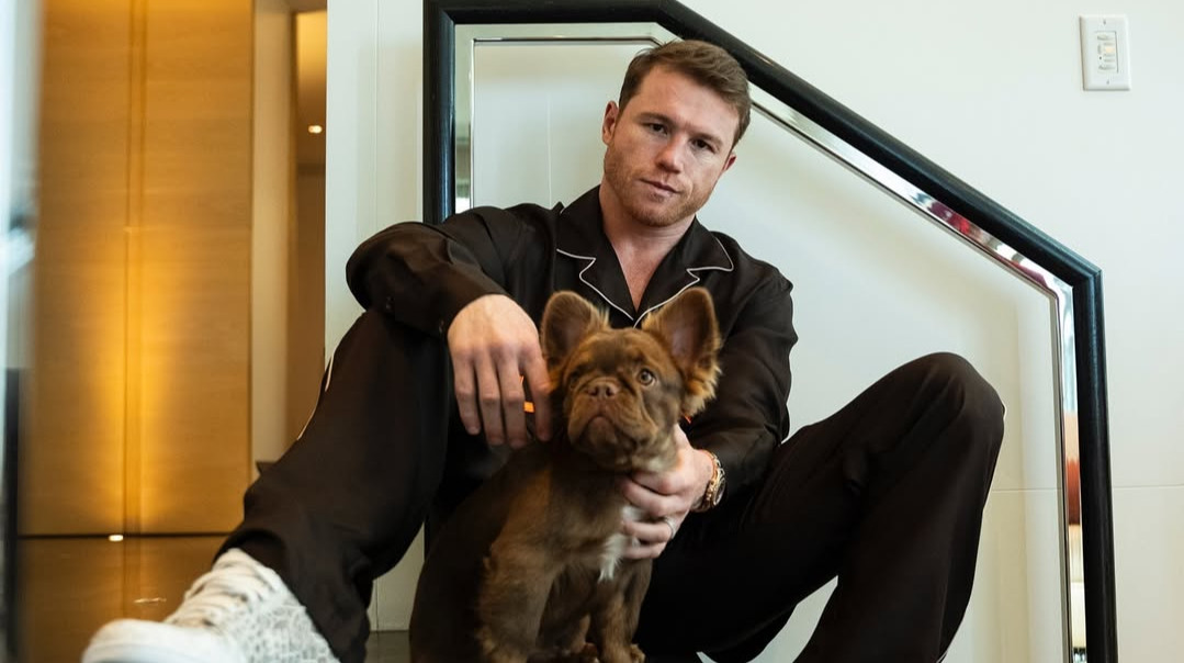 Это было бы безумием: Ярд хочет провести бой против Канело