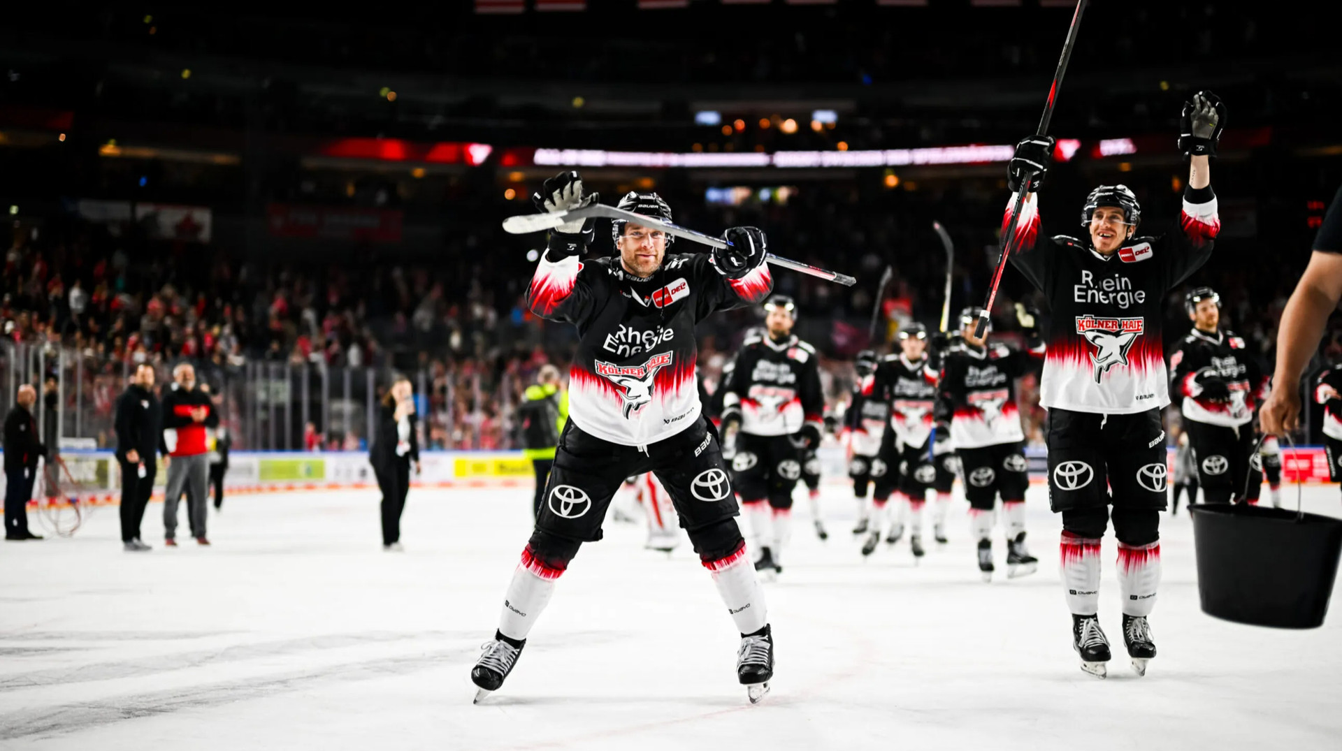 Kolner Haie – феномен німецького хокею: аншлаг, ціни на квитки та атмосфера в Кельні