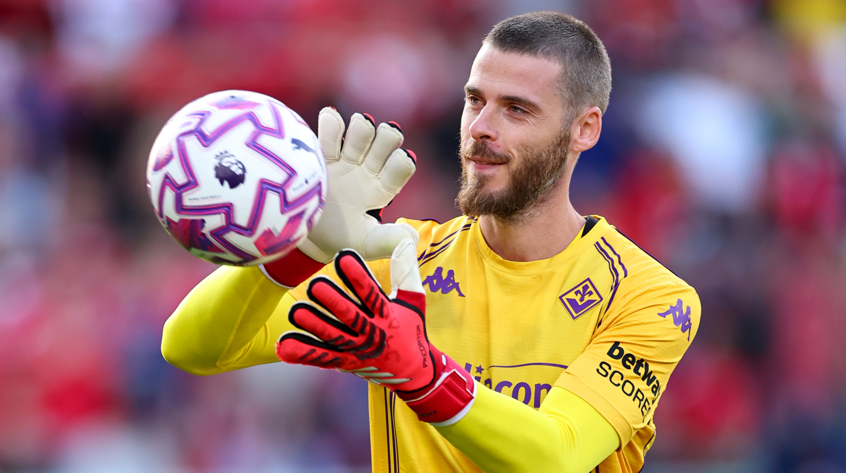 Давід Де Хеа