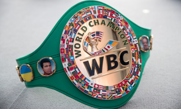 WBC ініціює створення нової вагової категорії між важкою вагою і хевівейтом