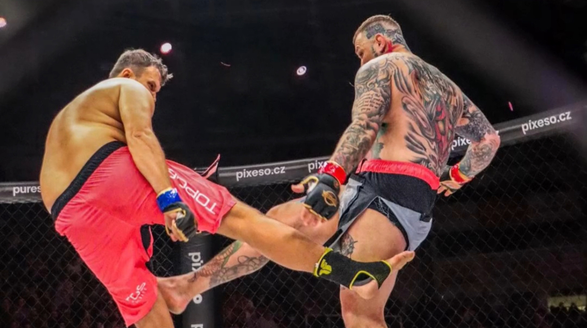 Словацького бійця ММА ледь не забили до смерті фанати за укус суперника в стилі Майка Тайсона