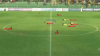 Довелося всім лягти на землю: футбольний матч у Танзанії зупинили через рій бджіл