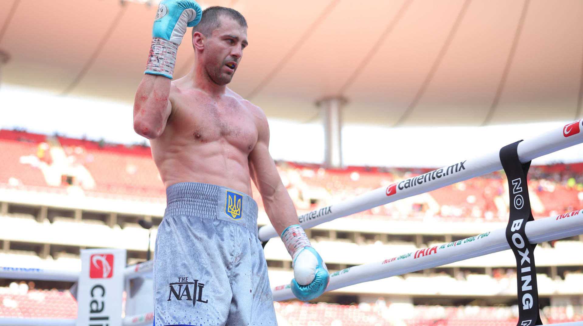 Гвоздик розкрив деталі контракту з Zuffa Boxing