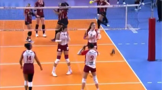 Опосум зупинив матч: у Бразилії тварина вибігла на волейбольний майданчик під час вирішального сету