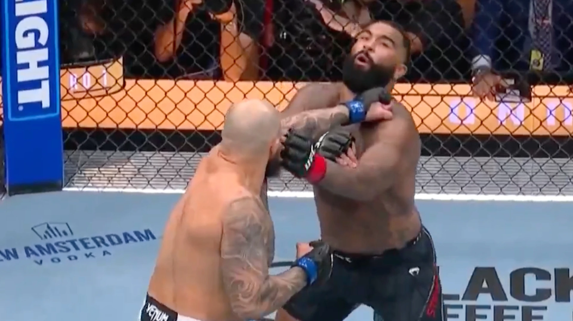 Олимпийского чемпиона жестоко нокаутировали на 12-й секунде боя турнира UFC 331