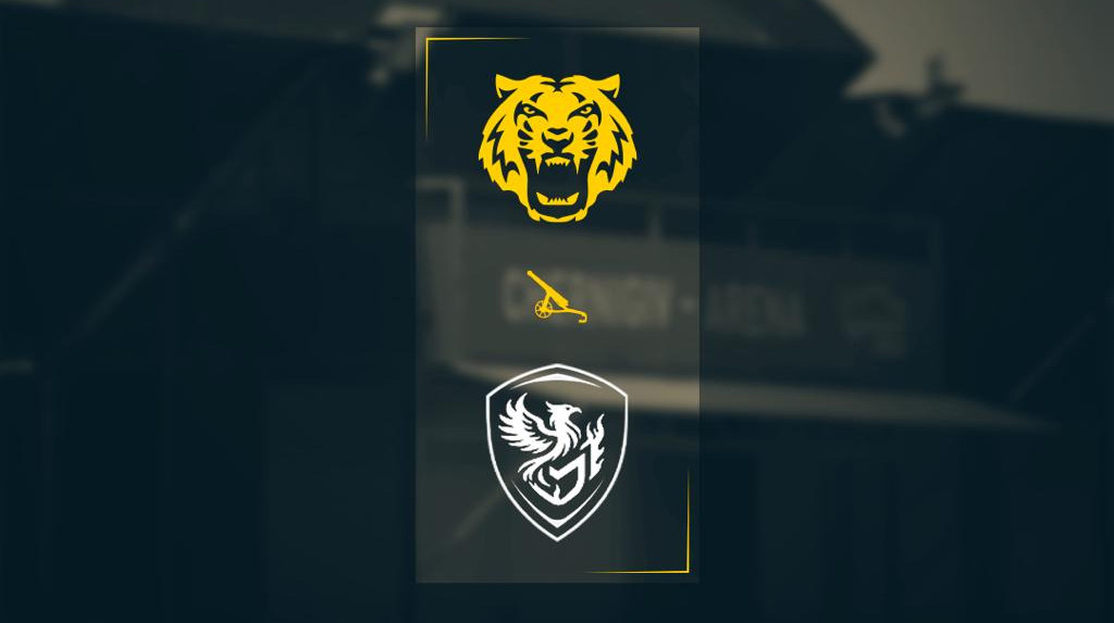 Через дії країни-терориста: матч Кубку України Чернігів – Фенікс-Маріуполь перенесли