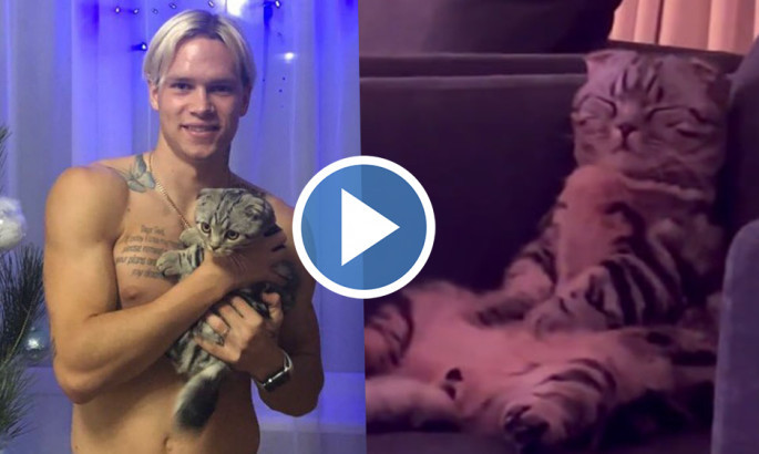 Наймиліше відео дня: мережу підкорив кіт Михайла Мудрика, що задрімав у кумедній позі