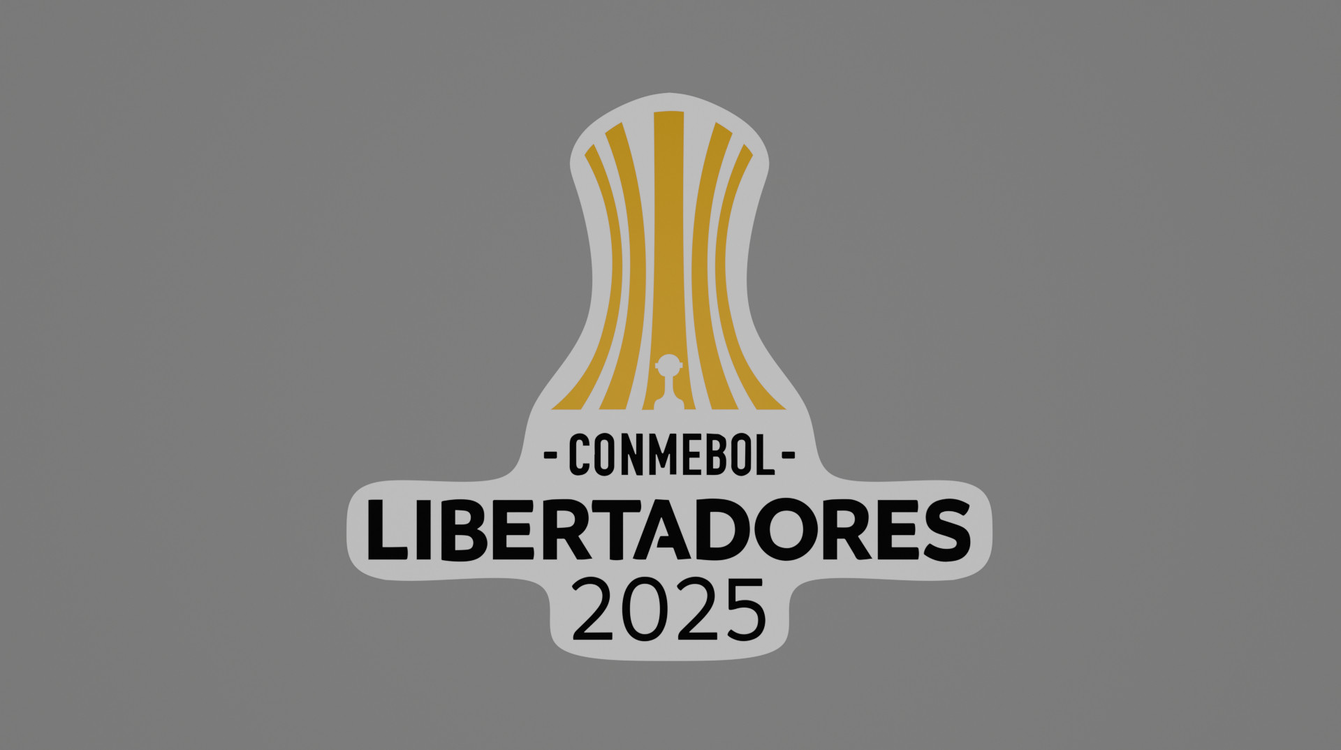 Определился транслятор Копа Либертадорес в Украине