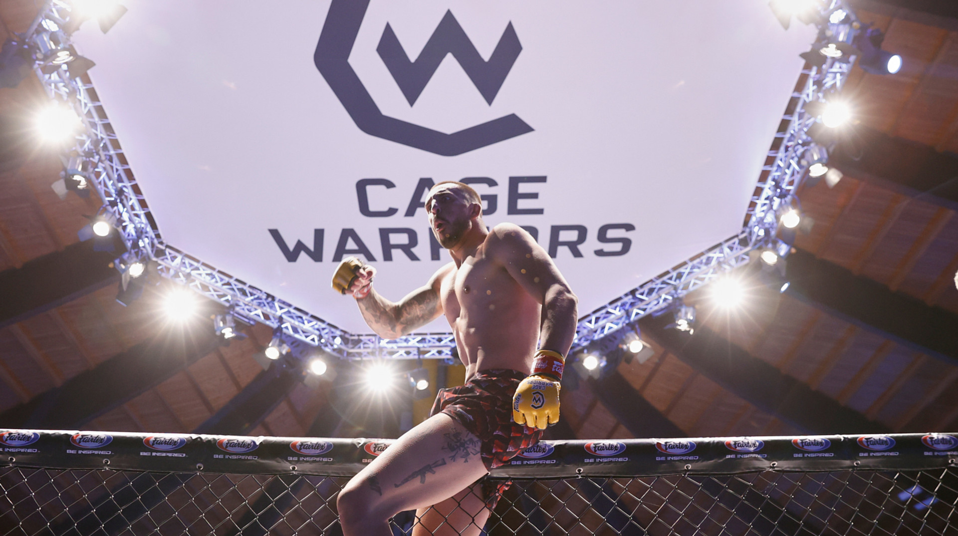 Воины в клетке 191: от Великобритании до Украины