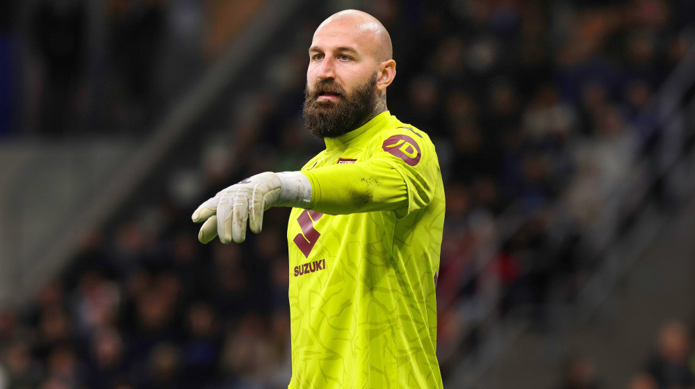 Ваня Мілінкович-Савич