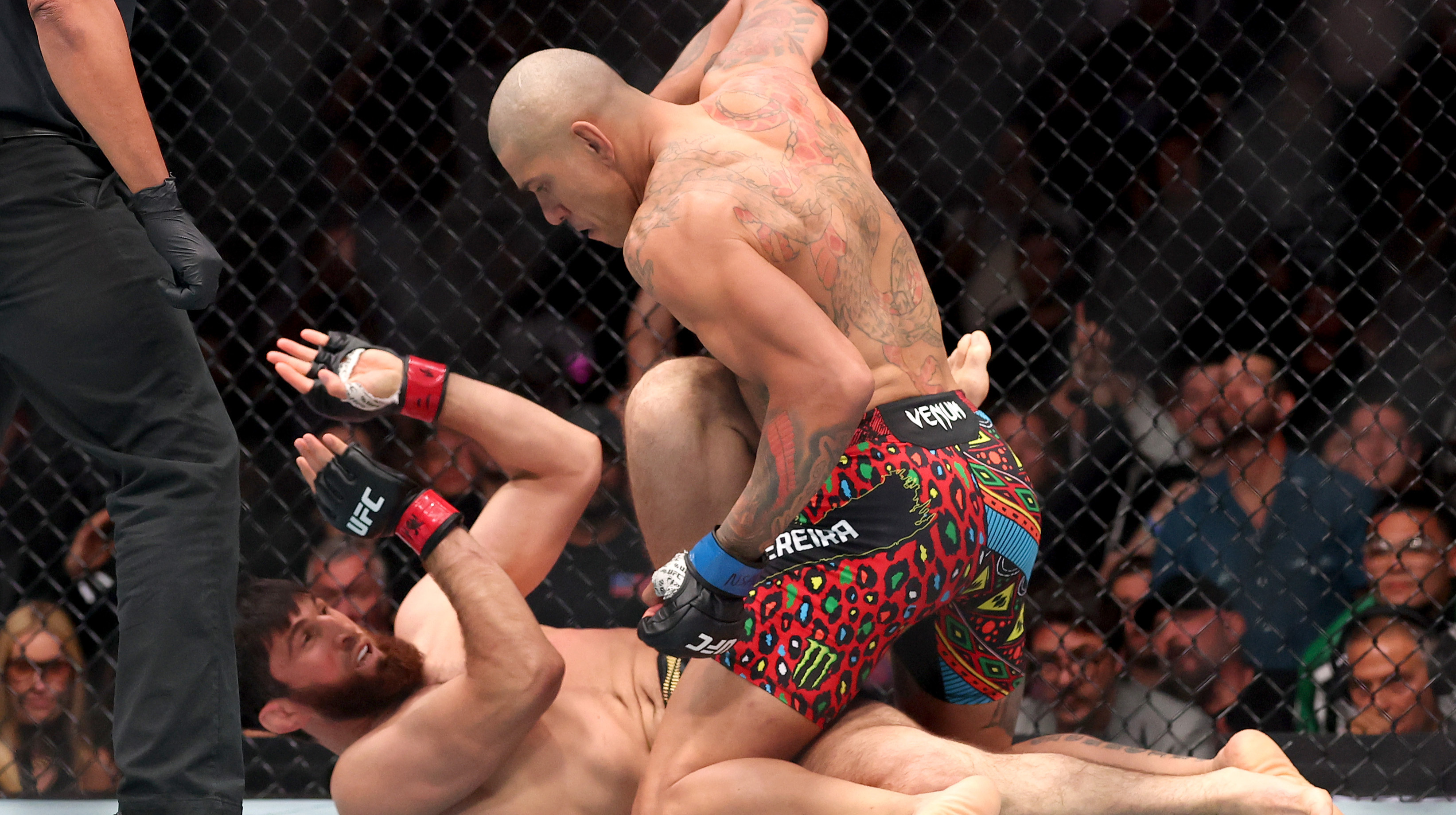 Магомед Анкалаєв та Алекс Перейра