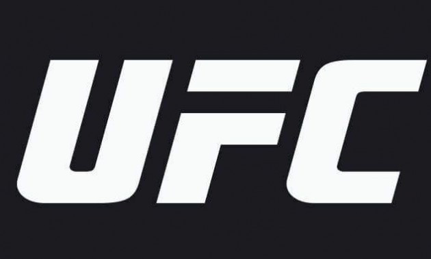 UFC визначив найкращий бій та нокаут року. ВІДЕО