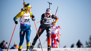 Швеция против Франции, Украина против Словении на финише сезона. Превью этапа Кубка мира в Холлменколене