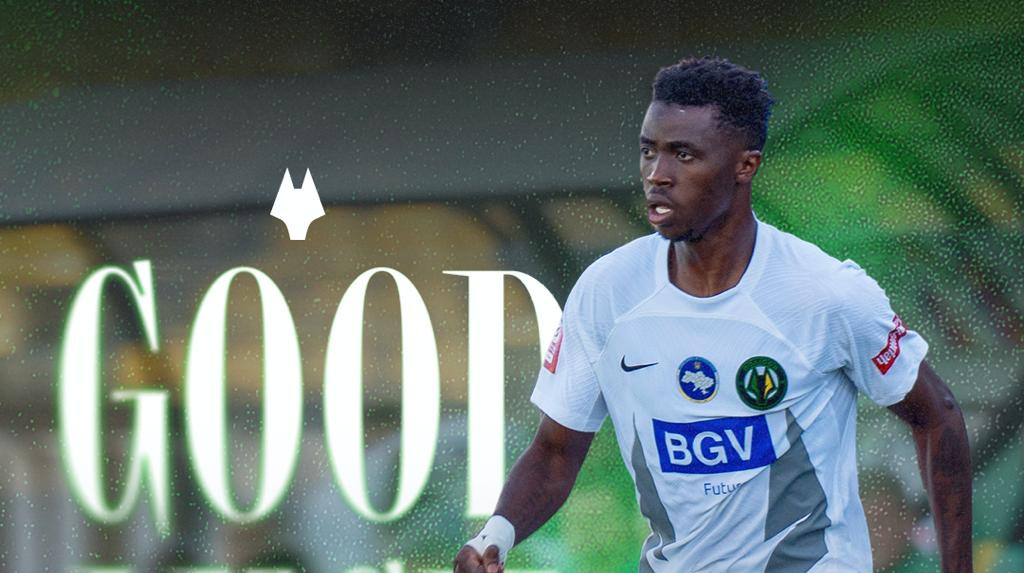 Легионер Полесья будет играть за чешский Яблонец