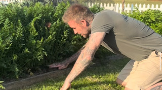 Под тщательным присмотром жены: Бекхэм удивил фанов домашним вареньем из слив