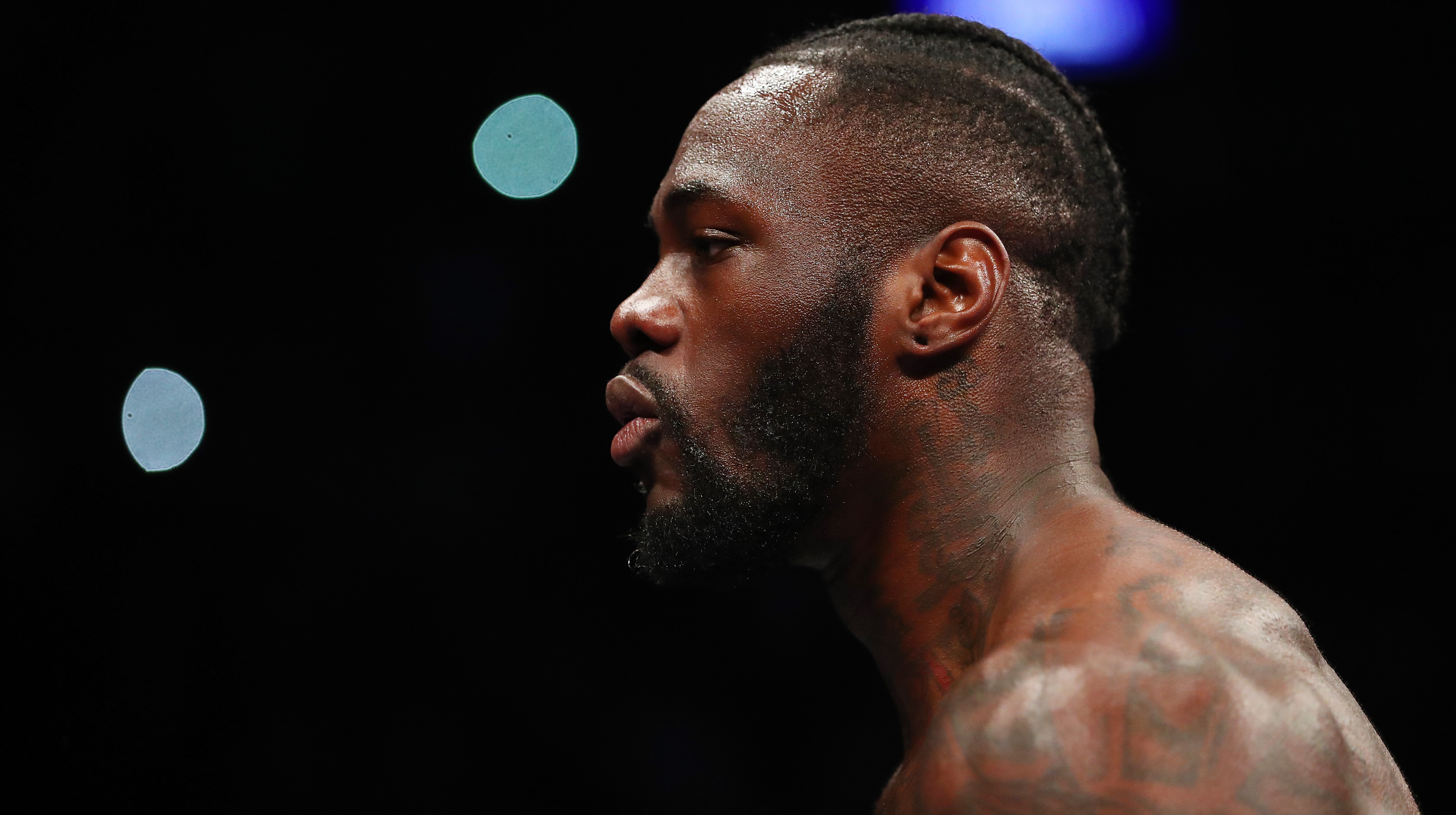 Уайлдер перевесил Герндона перед боем