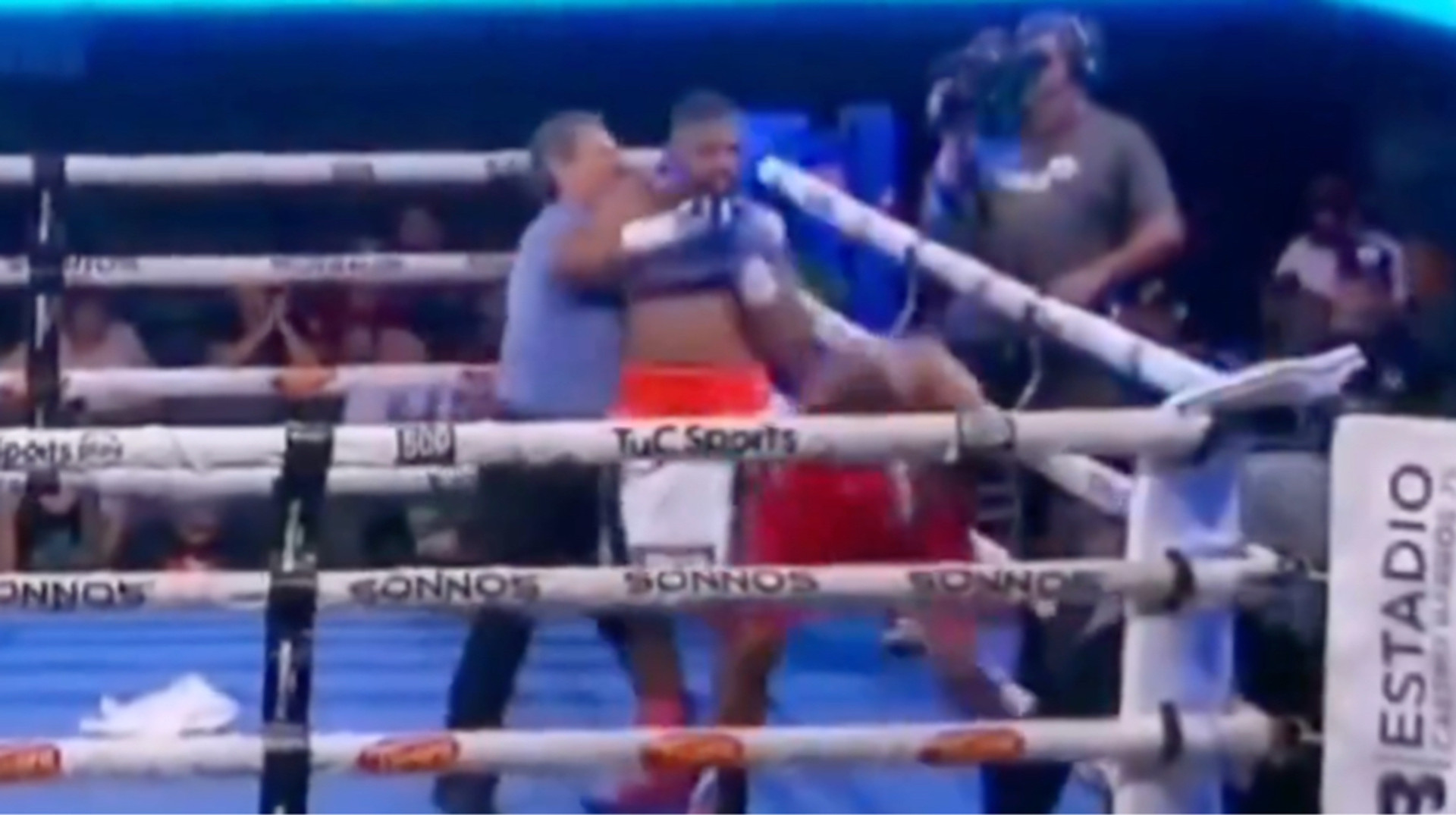 Не смог смириться с поражением: боксер напал на соперника после нокаута