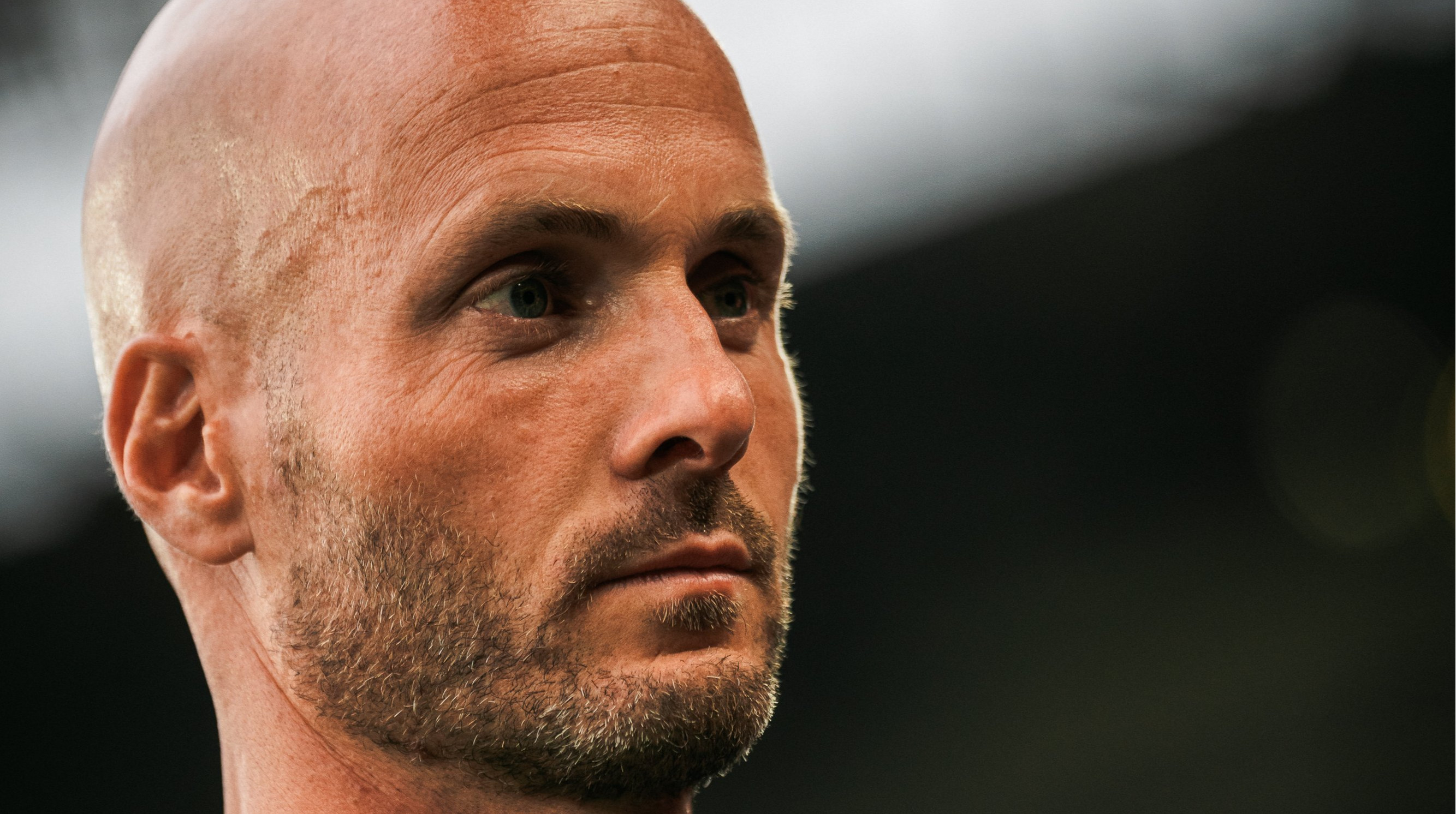 Вольфсбург уволил главного тренера