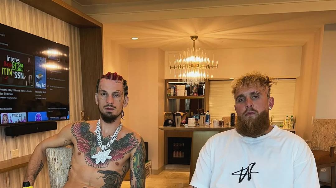 О'Мэлли оценил шансы победить Двалишвили в реванше