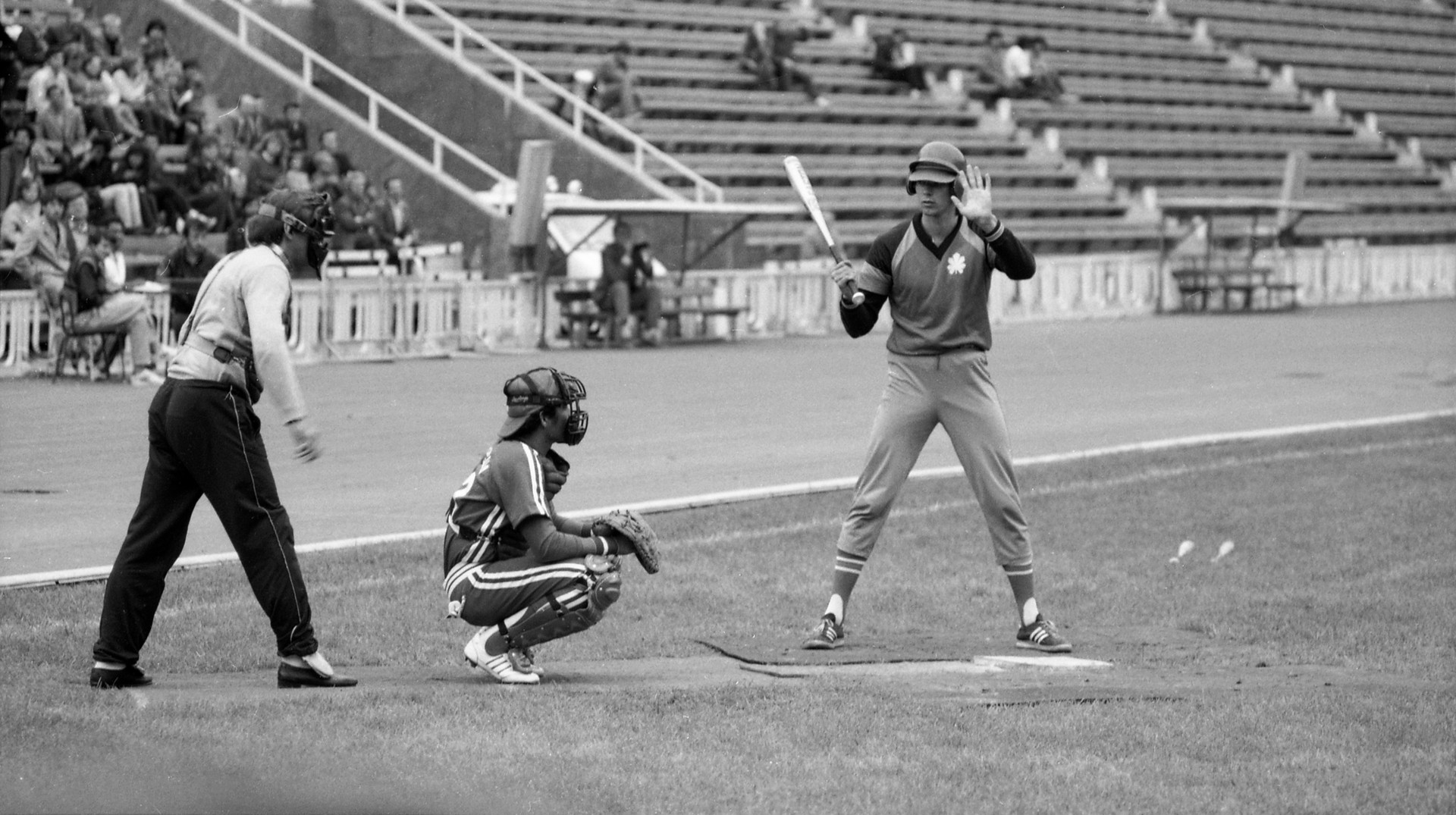 Гилка, макогон, або Як українці причетні до створення бейсболу