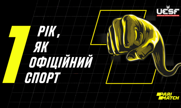 Україна кіберспортивна. Як пройшов перший рік для нового виду спорту