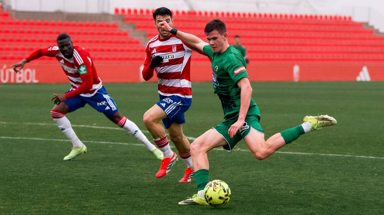 Полесье в результативном спарринге переиграло Гранаду