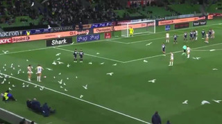 Чайки зірвали кінцівку матчу: дивний епізод у чемпіонаті Австралії став вірусним