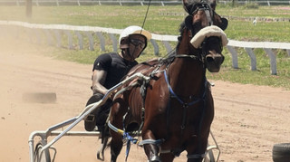З октагону на іподром: зірковий боєць UFC виграв престижні змагання з кінних перегонів