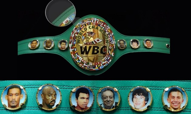 В Україні офіційно визнали WBC