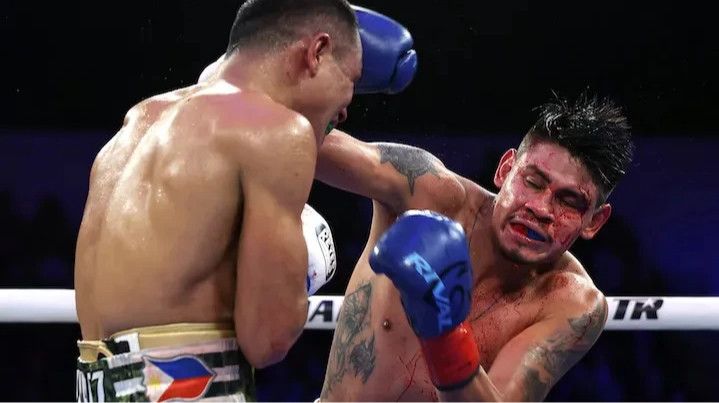 WBO санкціонувала реванш між Наваррете та Суаресом