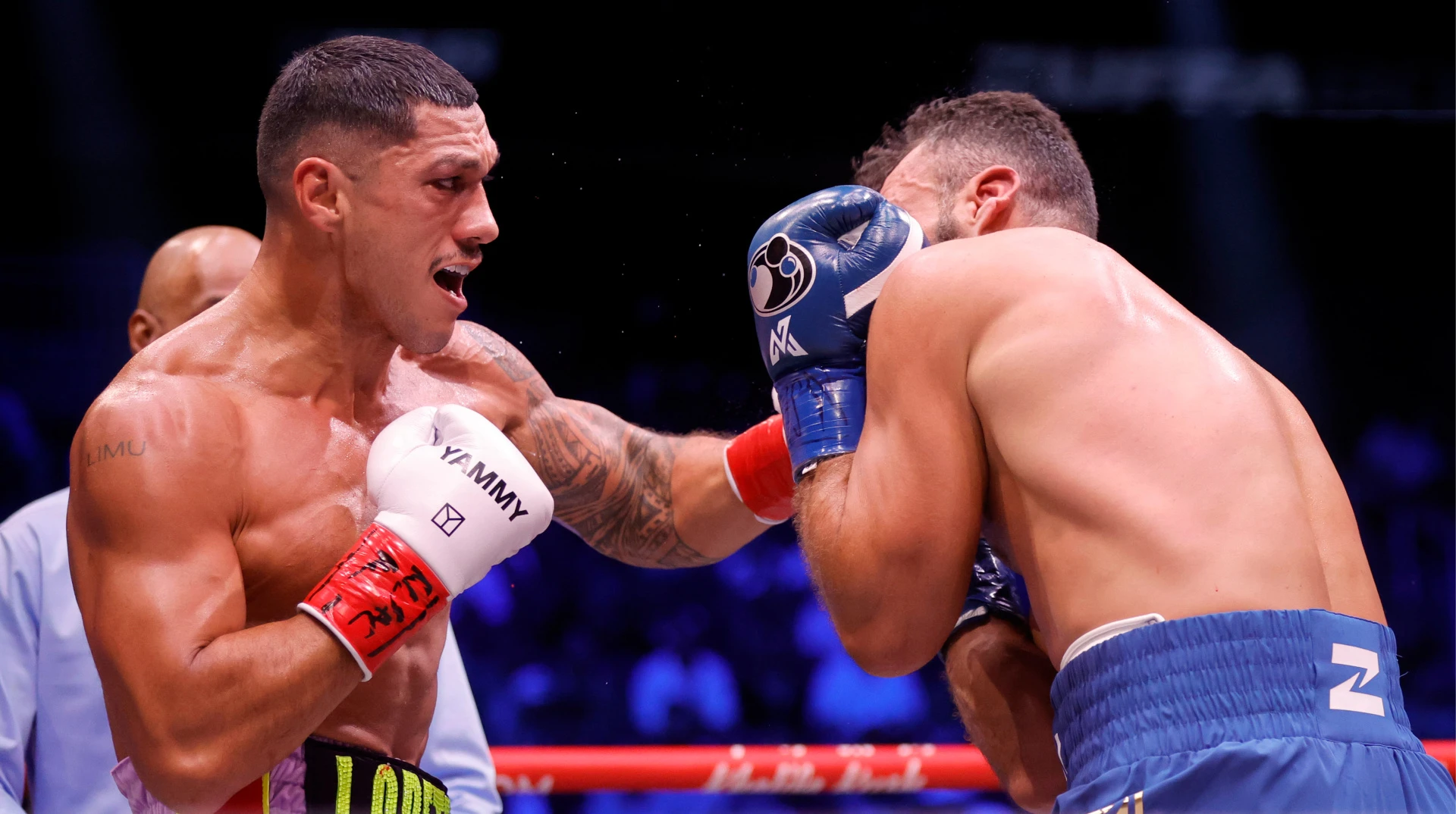 Опетая технічним нокаутом переміг Мікаеляна та здобув титул WBC