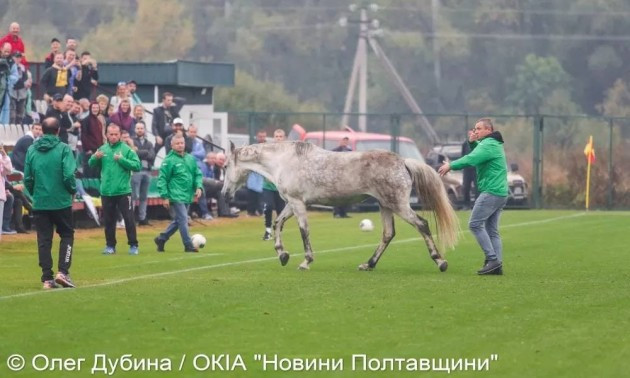 Собаки та кінь ледь не зірвали матч Україна – Італія
