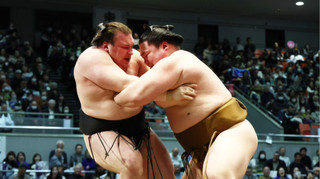 Аонішікі під психологічним тиском, Шіші покращує свої результати: підсумки першого тижня Haru Basho