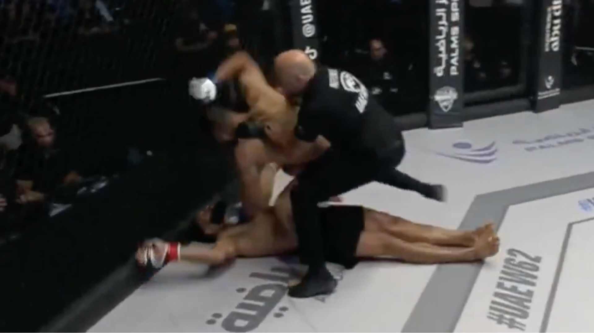 Все могло погано завершитись: рефері врятував життя бійцю після жорсткого нокауту