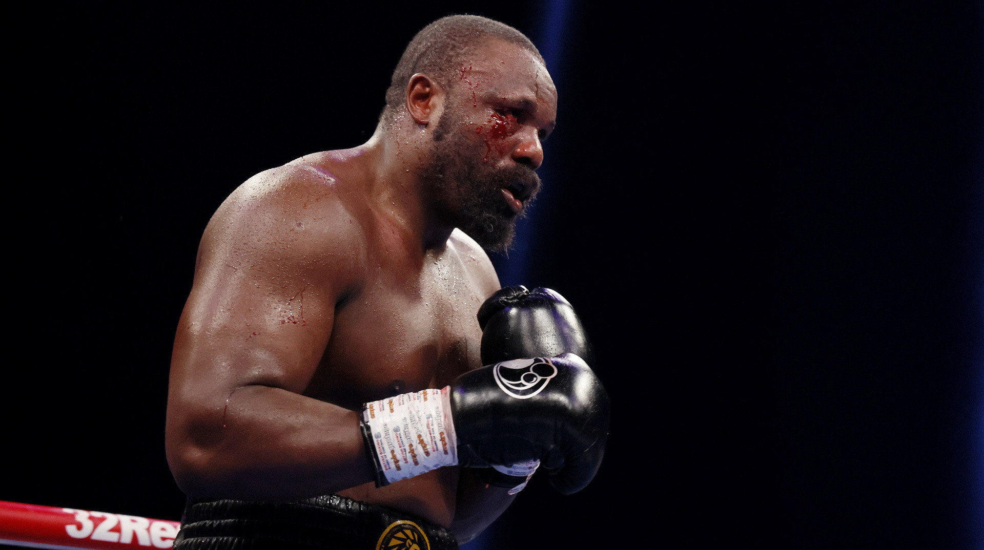 ЗМІ назвали ймовірну дату бою Вайлдер – Чісора