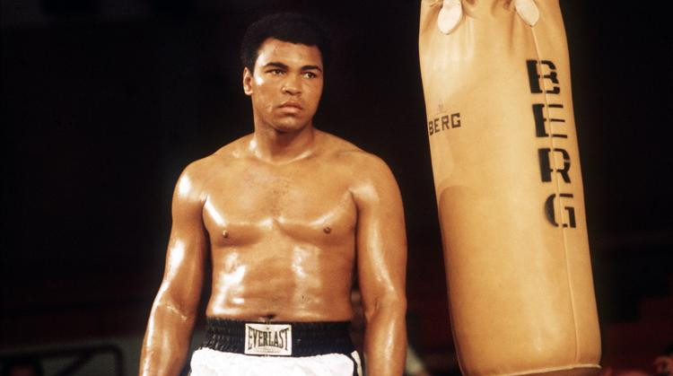 США хотят создать собственную боксерскую организацию