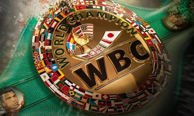 IBF і WBC внесли зміни в правила