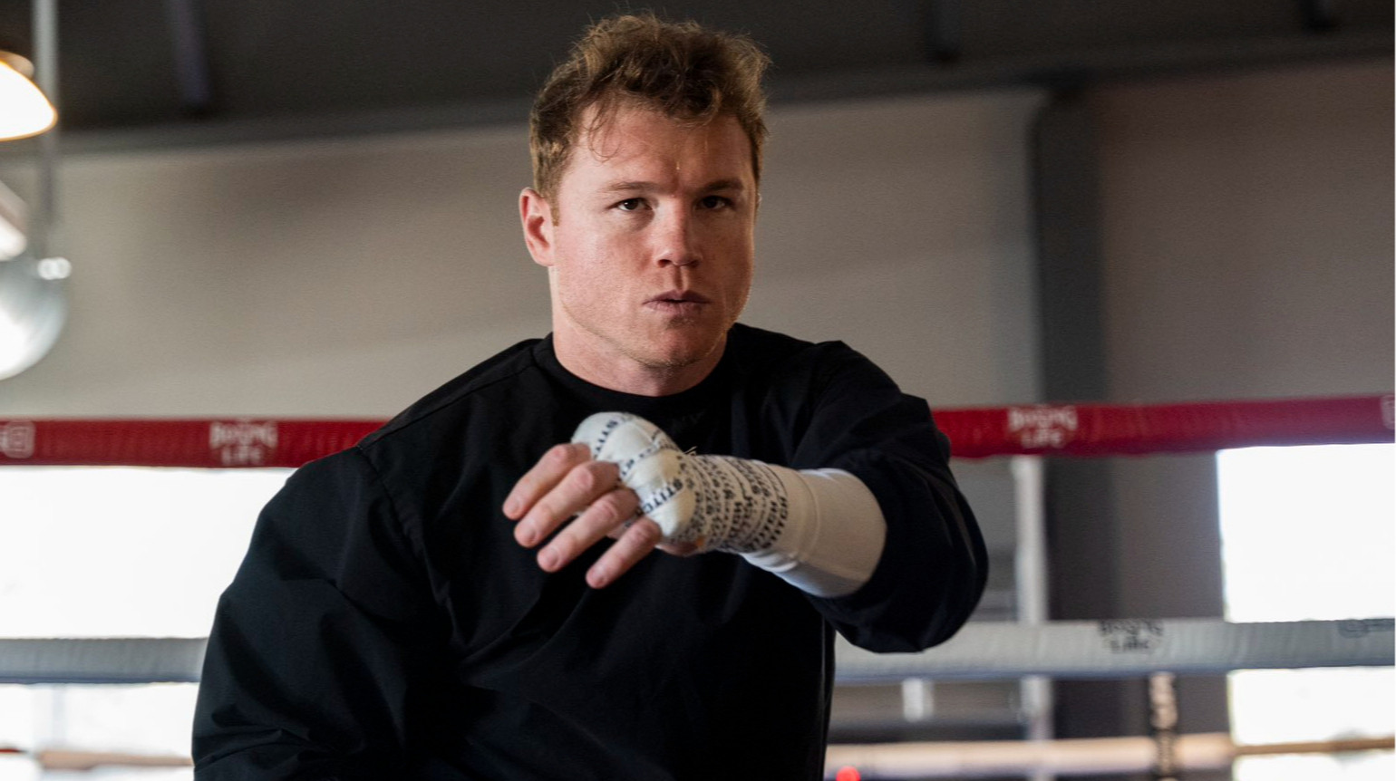 Определились потенциальные соперники Альвареса на бой в мае