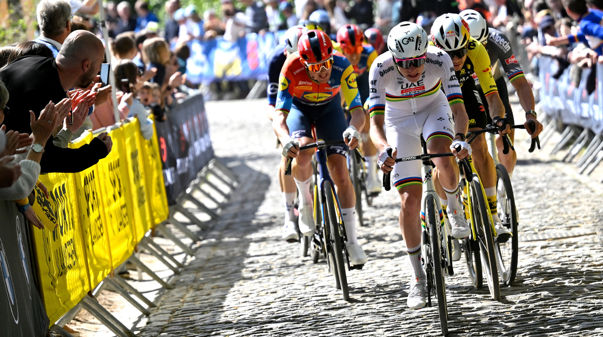 Погачар проти всіх, несподіваний дебют Евенепула. Прев’ю Туру Фландрії-2026