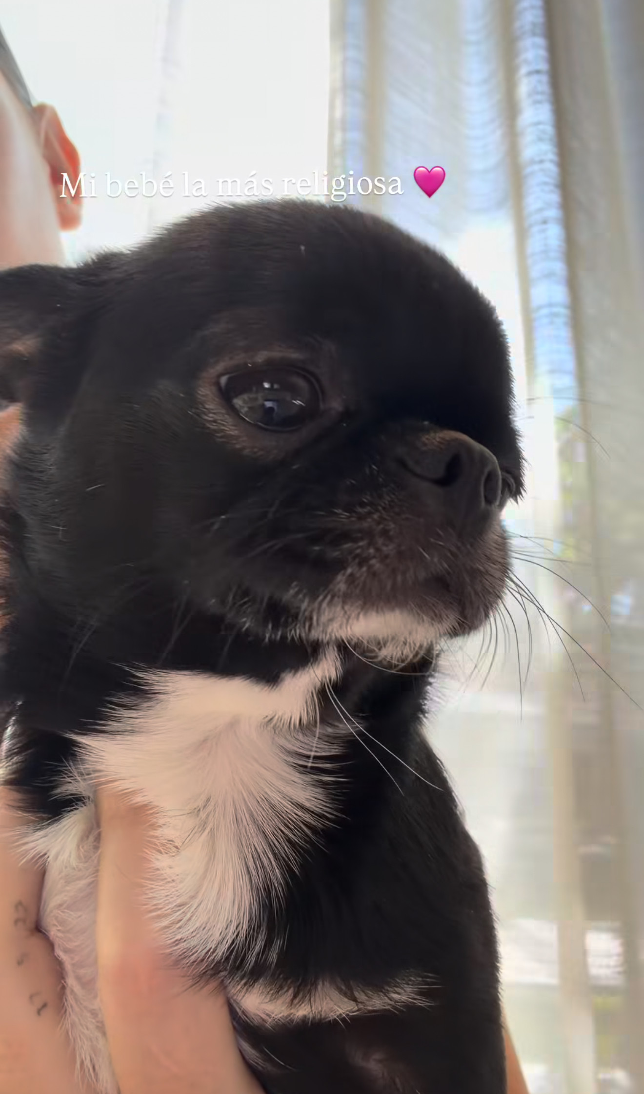 Ronaldonun ailəsində yeni üzv: Hər kəs ondan danışır - FOTOLAR 2 Ronaldonun ailəsində yeni üzv: Hər kəs ondan danışır - FOTOLAR