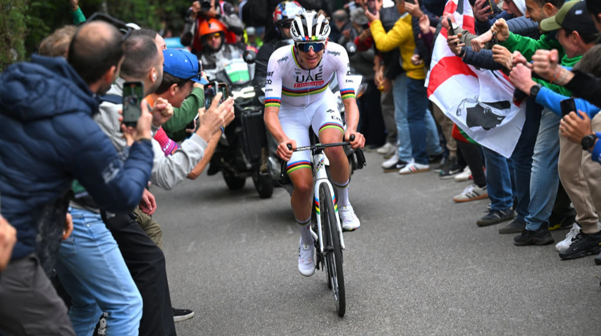 Тадей Погачар