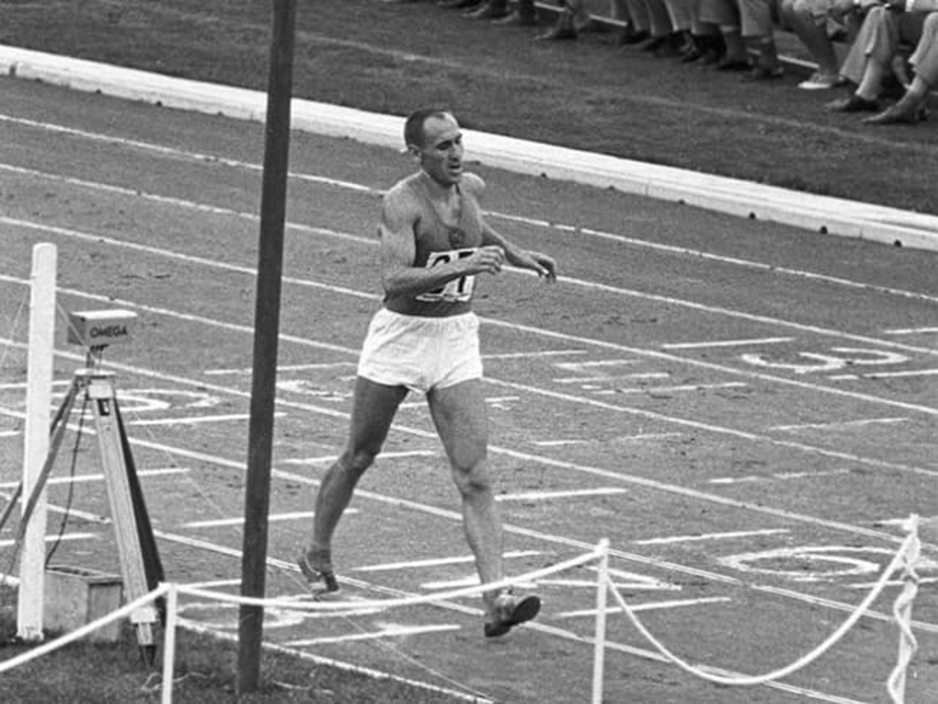 Владимир Голубничий