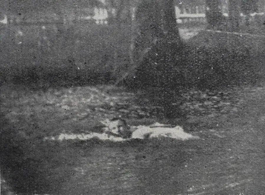 Шухевич на Запорожських” ігрищах, 1923 рік